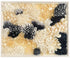 indigo coral and abalone wall art